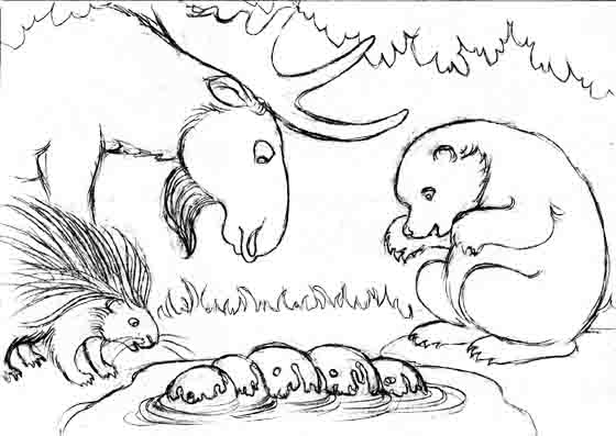 Now what's happening?