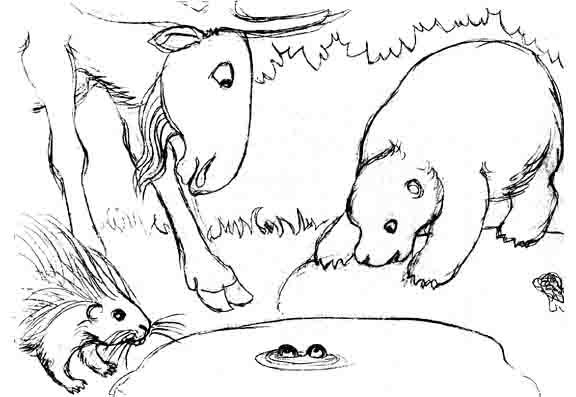 Who do the eyes belong to?