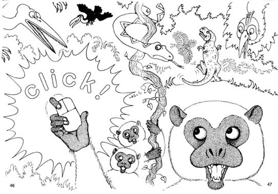 Monkey and the mouse