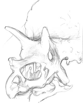 Stegosaurus
