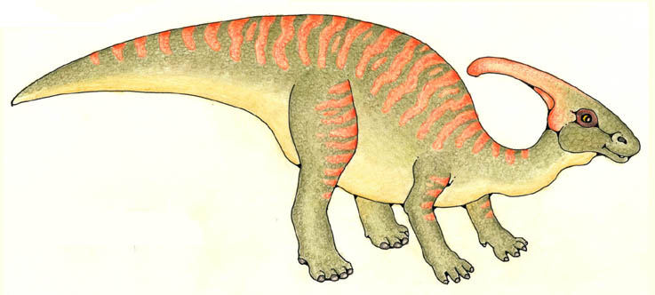 Parasaurolophus