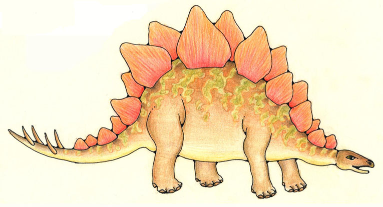 Stegosaurus